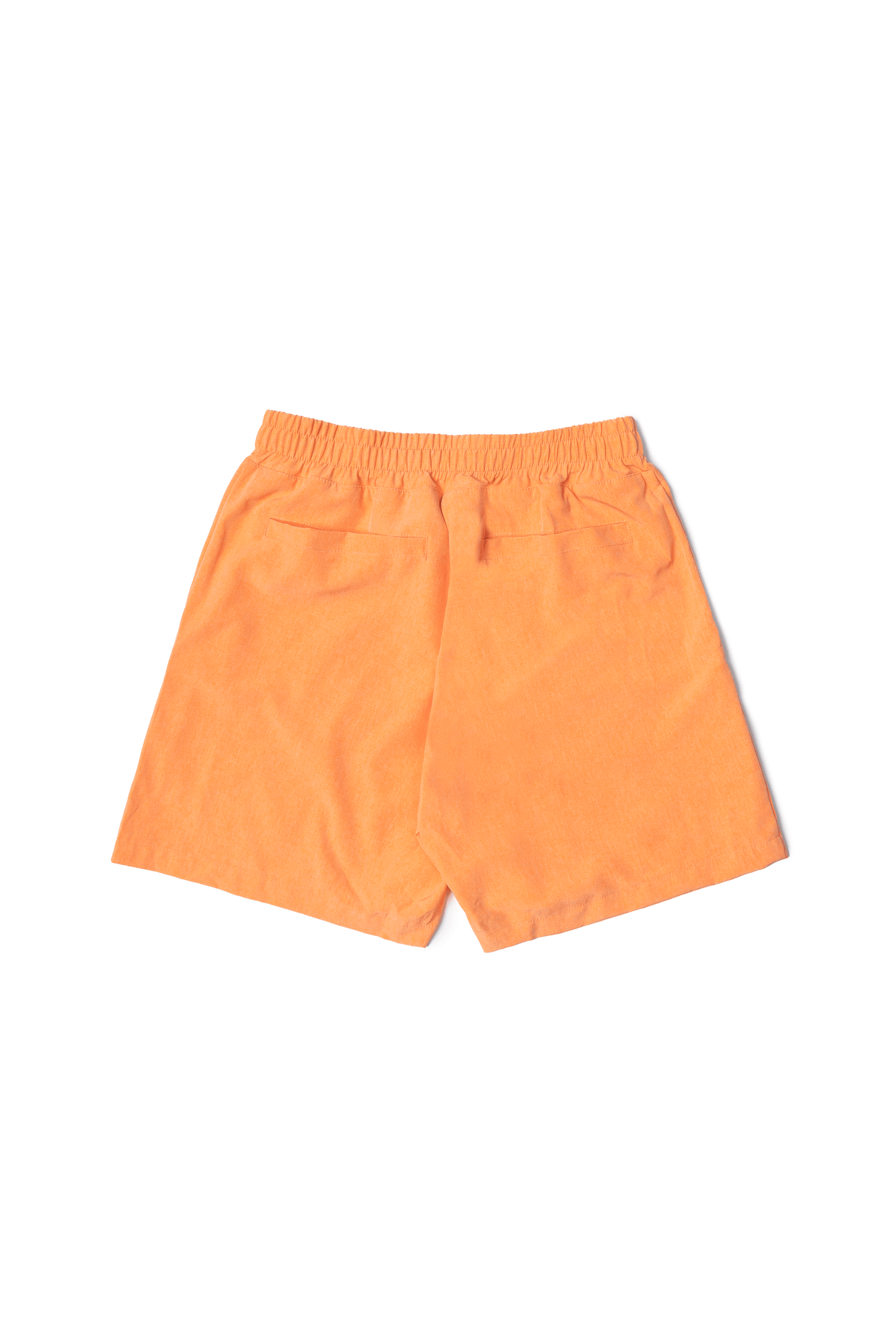 SHORTS SOPRO " FISH SWIM "